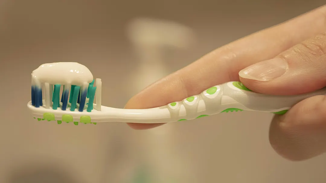 Hand holding a toothbrush with a pea-sized amount of toothpaste applied to soft bristles